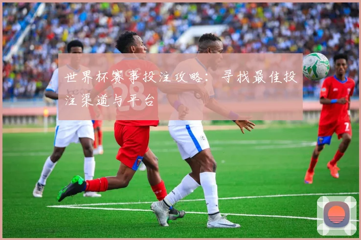世界杯赛事投注攻略：寻找最佳投注渠道与平台